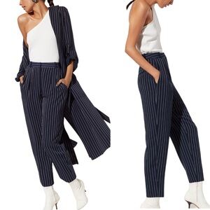 Aritzia Babaton Modesto Pinstripe Trouser Pant